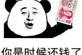 丽江为什么选择专业追讨公司来处理您的债务纠纷？